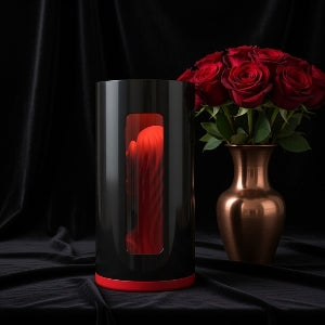 Lelo F1s V3