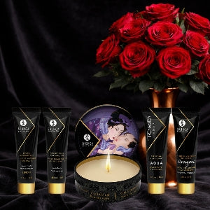Shunga Geisha's Secret Kit